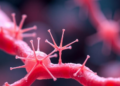 Tiny Antennae on Bile Duct Cells Emerge as Master Sensors of Liver Health and Disease