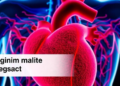 Rethinking Heart Attacks: New Framework Targets Plaques Before Arteries Narrow