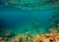 Climate Whiplash Choked Shallow Seas Twice During the Ordovician's Worst Crisis