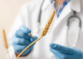 Scientists Discover a Gene That Pre-Arms Wheat Against Salt Stress
