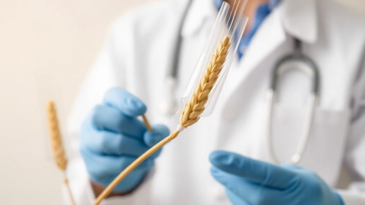 Scientists Discover a Gene That Pre-Arms Wheat Against Salt Stress