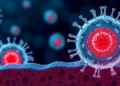 Lipid Signal 12-HHT Helps Cells Patch Membranes Torn by Bacterial Toxins