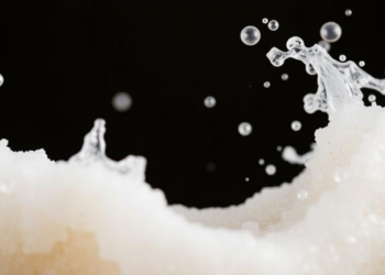 Sound waves unlock flaxseed protein's hidden foaming and emulsifying power