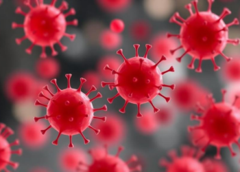 Blood Cell Mutations Raise Risk of Dangerous Bacterial Infections, Giant Study Finds