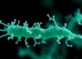 Bacteria Smell Pollution Indirectly: New Chemoreceptor Tracks Toxic Nitrophenols Through Cell Metabolism