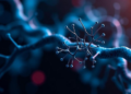 TEAD transcription factors emerge as a new frontier in cancer therapy