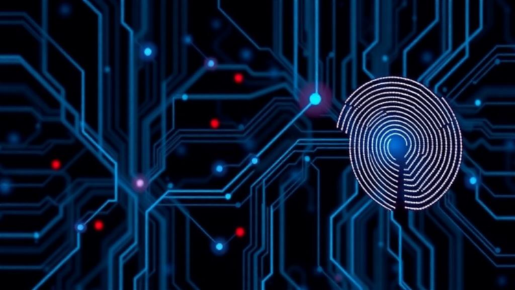 Hidden Fingerprints: New Method Uncovers Backdoor Targets in Compromised Neural Networks