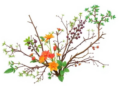 Pakistan's Hidden Plant Treasures: 940 Endemic Species Mapped in Landmark Review