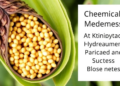 Chemical Mutagenesis Unlocks Hidden Trait Diversity in Cowpea
