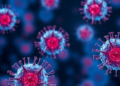 Hepatitis B Virus X Protein Mutation T118N Reshapes Cell Cycle and Apoptosis in Liver Cells