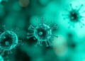 Lipid Nanoparticles Reprogram NK Cells Inside the Body to Fight Cancer and Autoimmune Disease