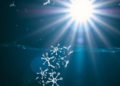 Sunlight-Powered Nanocomposites Strip Dangerous Bacteria From Contaminated Well Water