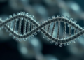 A Few Random Mutations Turn Simple RNA Droplets into Moving, Cargo-Carrying Synthetic Cells