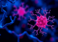 Immune Molecule B7-H3 Drives Triple-Negative Breast Cancer Through a Hidden Protein Machinery
