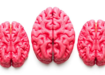 Hidden Tauopathy: Autopsy Data Reveal Progressive Supranuclear Palsy Is Far More Common Than Thought