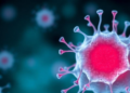 Tuft Cells Emerge as Hidden Players in Gut Disease, Review Finds