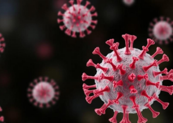 Cell-Penetrating Receptor Mimic Delivers a Long-Sought Blow Against Enteroviruses
