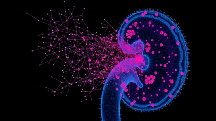 Single-cell map shows how pancreatic cancer clones evolve to outsmart treatment