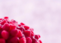 Chemical Tags on Blood Proteins Reveal a New Window Into Alzheimer's Disease