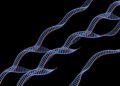 PrimeStack: New Gene-Stacking Tool Writes Large DNA Cargos Into Rice Genomes at Precise Sites