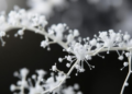 Tiny Doses of Alumina Tame Zinc Dendrites in Flexible Zinc-Air Batteries
