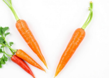 Hidden Carrots and Secret Stashes: How Parents Really Get Kids to Eat Fruit and Vegetables