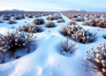 Arctic plants quietly feed on nitrogen all winter, and microbes grab most of it first