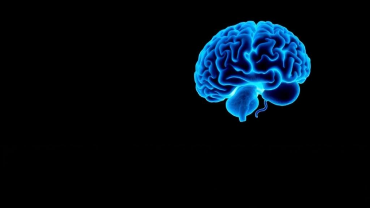 Dual Immunotherapy Clues Reveal How to Wake the Immune System Against Glioblastoma