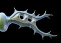 Aloe vera bioink yields immune-smart 3D-printed bone organoids