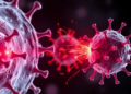 Cell Cycle Timing Shapes How Natural Killer Cells Fire Their Weapons