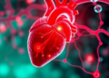 Nanoparticle System Redirects the Heart's Own Healing Signals to Injured Tissue