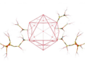 Geometry's Hidden Roots: Intuition Persists Into Adulthood and Falters in Dyscalculia