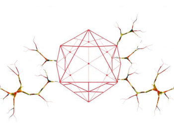 Geometry's Hidden Roots: Intuition Persists Into Adulthood and Falters in Dyscalculia