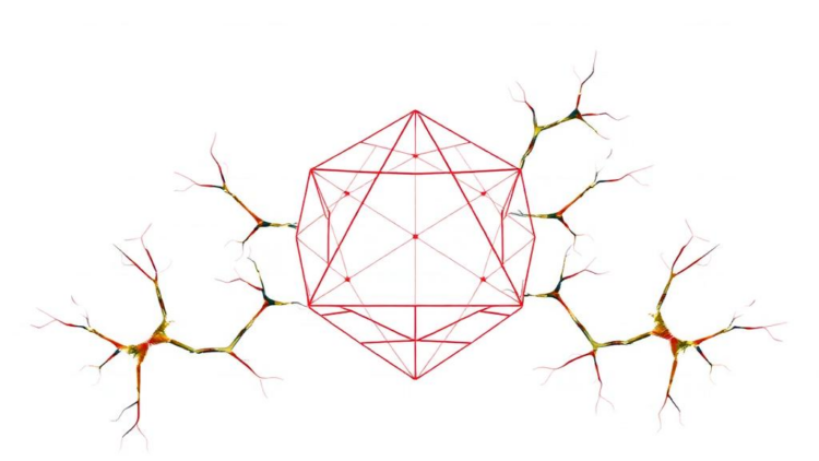 Geometry's Hidden Roots: Intuition Persists Into Adulthood and Falters in Dyscalculia