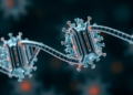 Trapping rogue DNA rings in micronuclei could disarm aggressive tumors