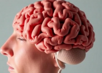 Your Eyes Betray How Your Brain Organizes Working Memory Under Pressure