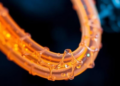 Graphene-Wrapped Titanium Nanotubes Shatter Dyes Even in Harsh Acid