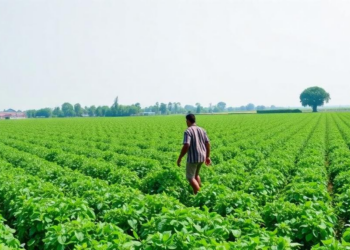 Immune-Inspired Optimization Keeps Rural Farm Supply Chains Alive Under Disruption