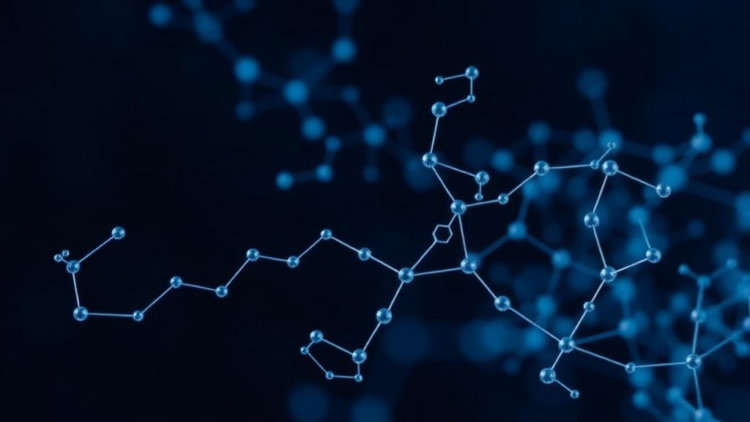 Pep2Net Unifies Fragmented Peptide Databases With a Cross-Attention AI Model
