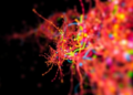 CellART turns blurry spatial gene maps into crisp single-cell atlases