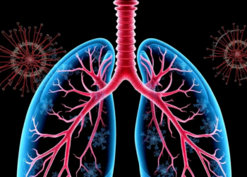 Scientists Map a Route to Rebuilding Damaged Airways With Engineered Cell Therapies