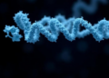 Lightweight AI Tool Outsmarts Deep Learning at Spotting Disordered Proteins
