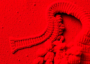 The Red Pigment Powering Food, Farms and Future Medicine: Inside the Astaxanthin Boom