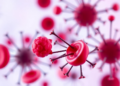 Platelet Receptors Reveal Surprising Mechanical Differences That Could Shape Blood Clot Stability