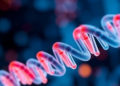 Chemokine Gene Methylation Tied to Liver Inflammation in Chronic Hepatitis B