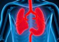 When Tuberculosis Starves the Body Enough to Trap the Gut: A Rare Artery Syndrome Uncovered