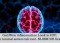 Gut/Brain Inflammation Link in HIV Wins $5.8M NIH Grant