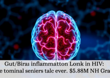 Gut/Brain Inflammation Link in HIV Wins $5.8M NIH Grant