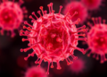 A Fat-Burning Switch That Turns Immune Cells Into Cancer Killers