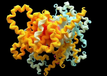 Hybrid docking-assembly algorithm cracks the structures of giant protein complexes